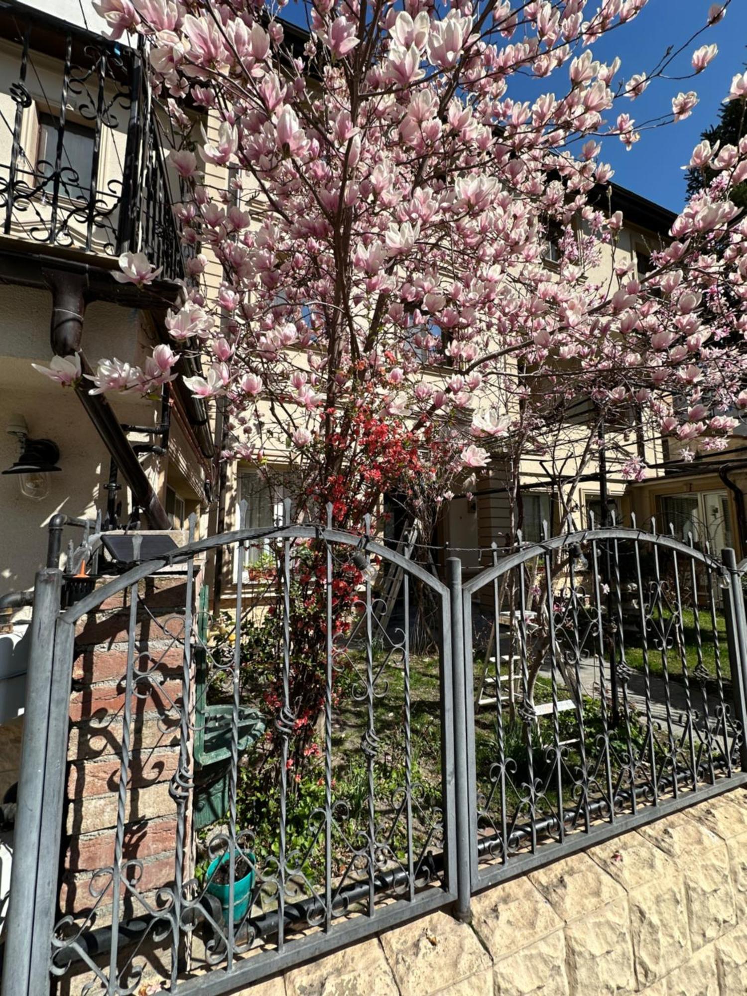 Hotel Boutique Cathedral Plaza Residences For Rent Downtown