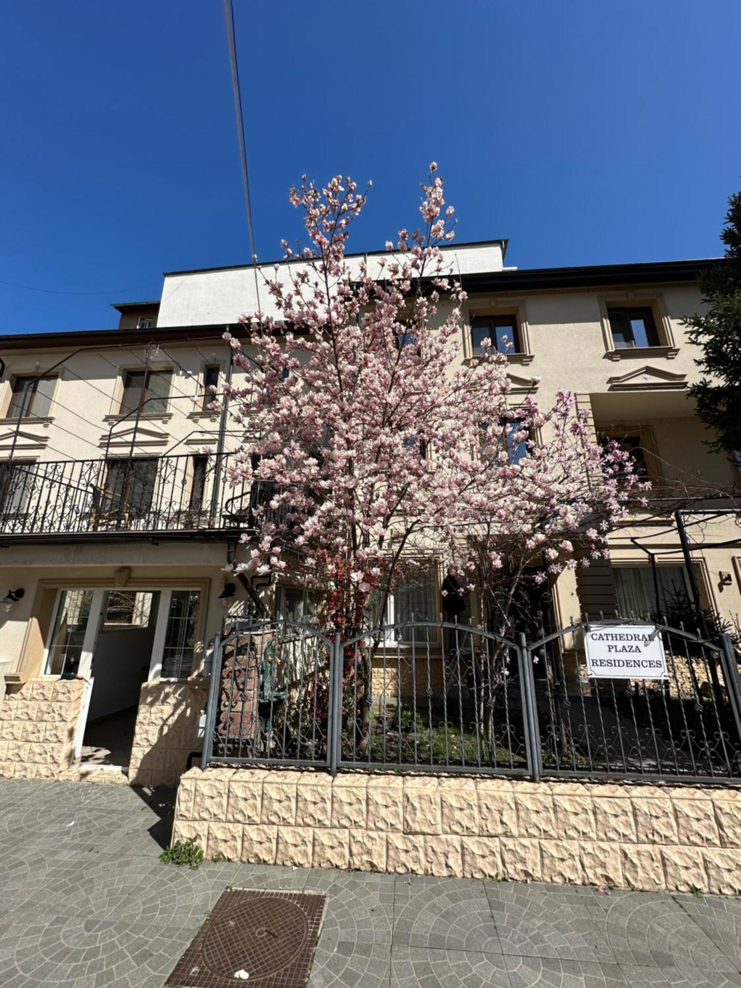 Boutique Cathedral Plaza Residences For Rent Downtown Hotel *